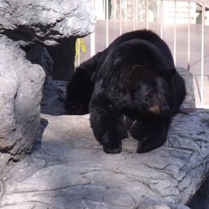 Meet your Posher, Joanne